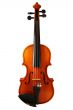 violin