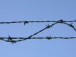Barbed Wire