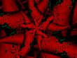 a backdrop for your designs