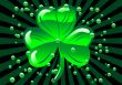 St Patricks shamrock