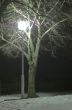 streetlamp