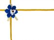 blue bow