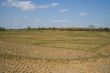 open field,  india