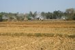 open field with view on stone industry,  india