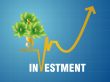 Investment Chart
