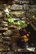 Old stoned wall