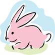 Pink rabbit