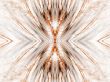 Feather Textures Abstract Background