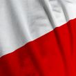 Polish Flag Closeup
