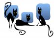 Three black cats
