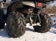 The quad