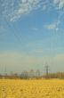 powerlines