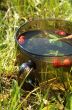 Strawberry tea