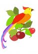 The bright tropical bird