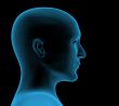Transparent head of the person - x-ray