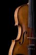 violin