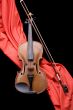 violin on scarlet silk