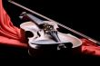 violin with fiddlestick