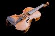 violin