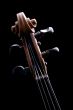 violin
