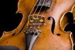violin