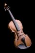 violin