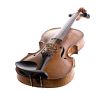 violin