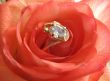 Rose with golden jewelry