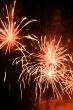 Firework
