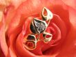 Rose with golden jewelry