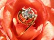 Rose with golden jewelry