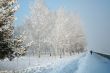 Snow-covered path