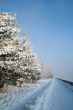 Snow-covered path