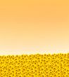 Daisy horizon
