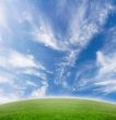 Beautiful meadow sky background