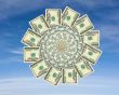 Money flower on a blue sky background