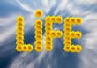 Life concept
