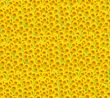 Sunflower background