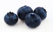 blueberries on white