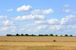 Moorland