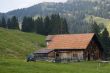 Cattle-breeding farm. Swiss Farm and yard.