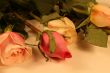 Valentines Day