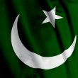 Pakistani Flag Closeup
