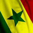 Senegalese Flag Closeup