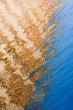 Abstract water reflection