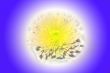 abstract background scene