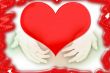 scene of the hands and heart