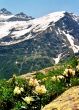 Spring  in Prielbruse.