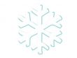 frosty snowflake