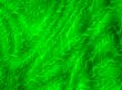 a backdrop for your designs